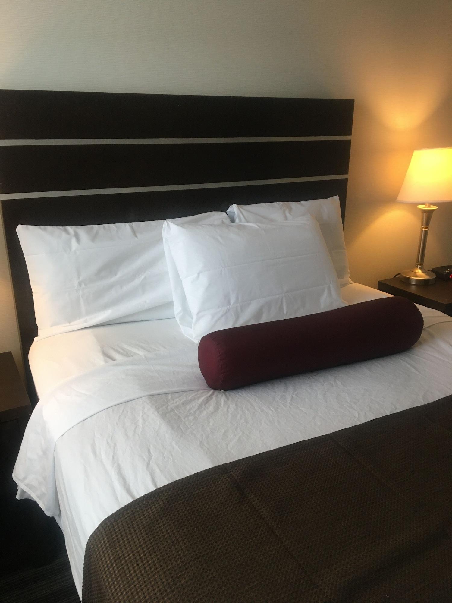 Super 8 By Wyndham Near Downtown 3* Saskatoon