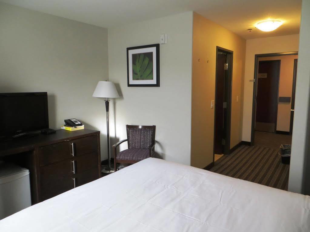 Super 8 By Wyndham Near Downtown
